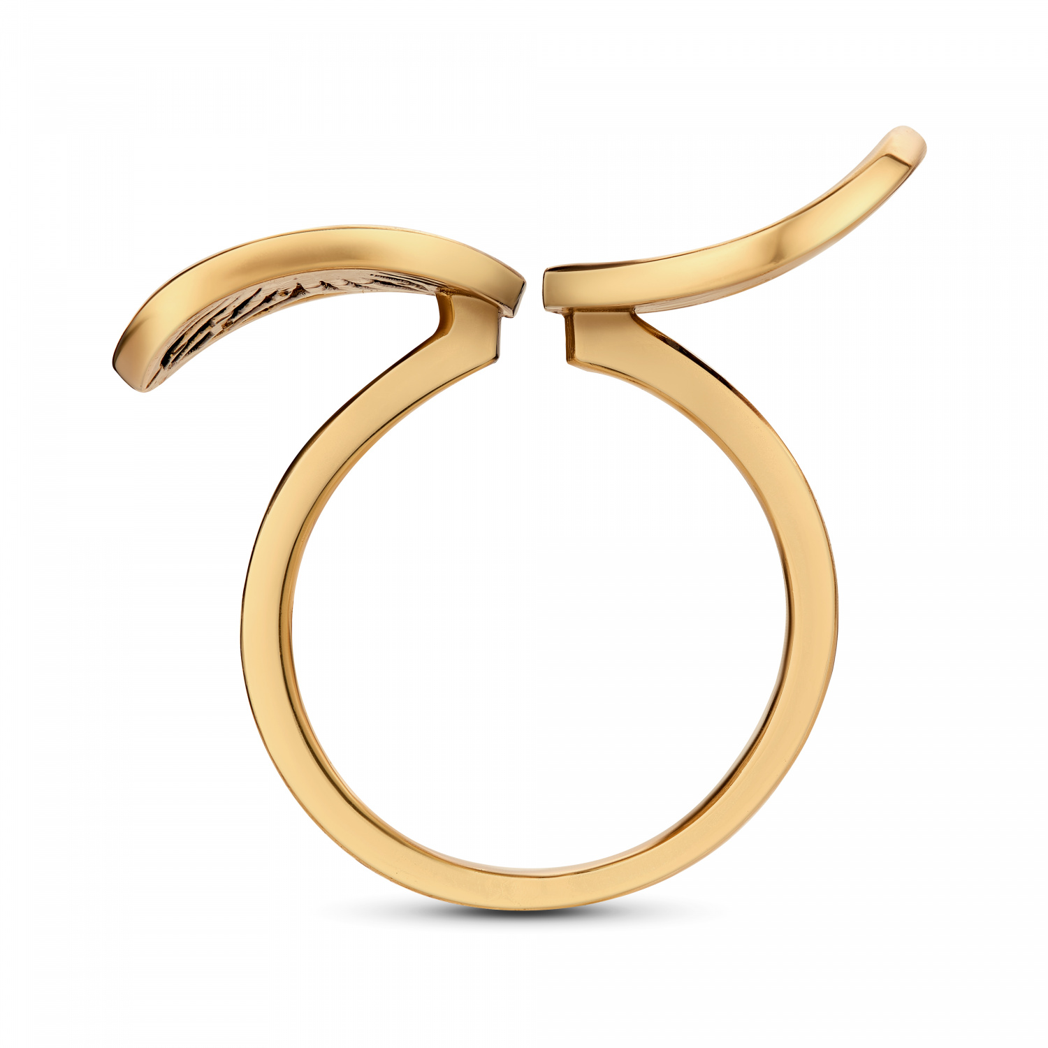 AN6300  Ring ERBARIO 