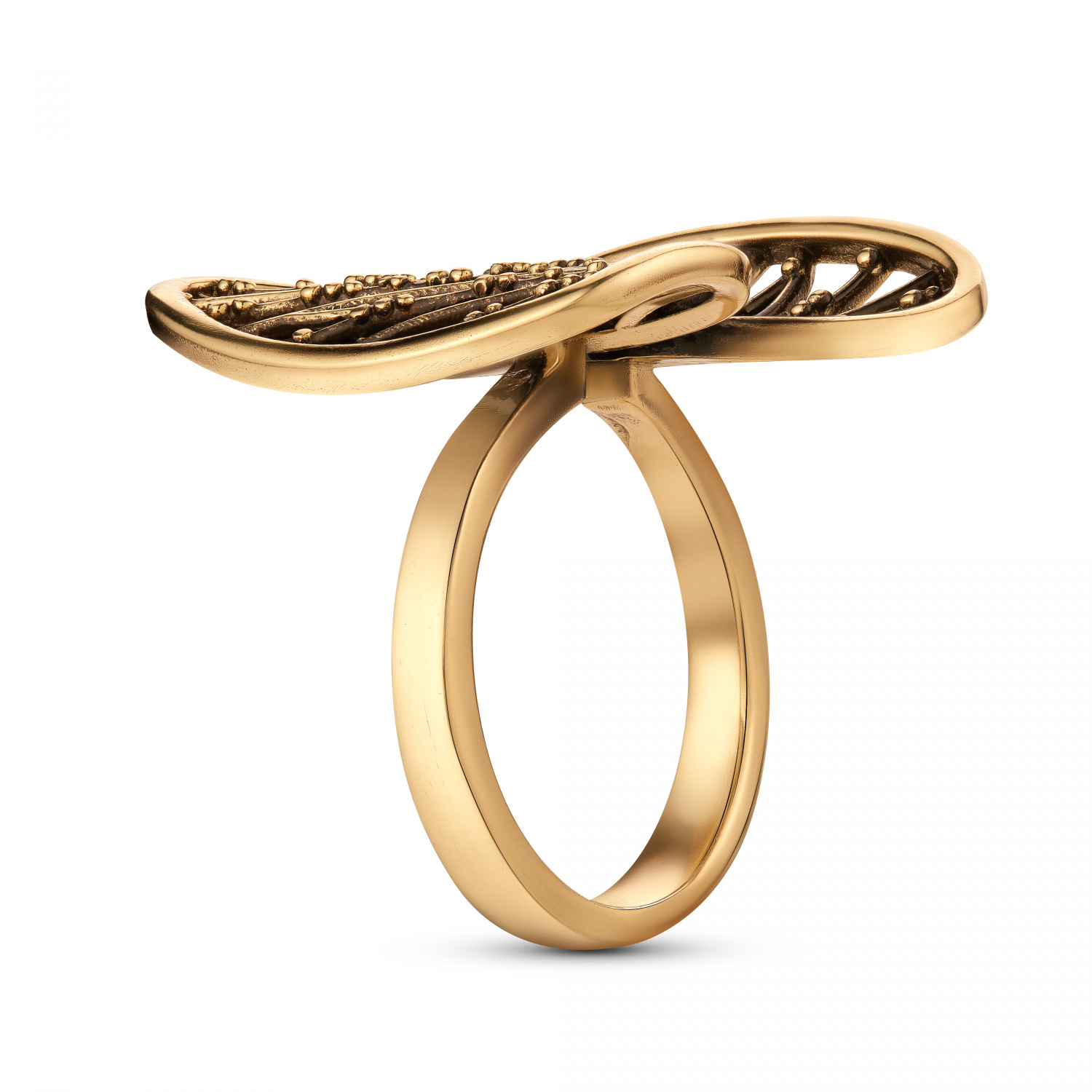 AN6300  Ring ERBARIO 